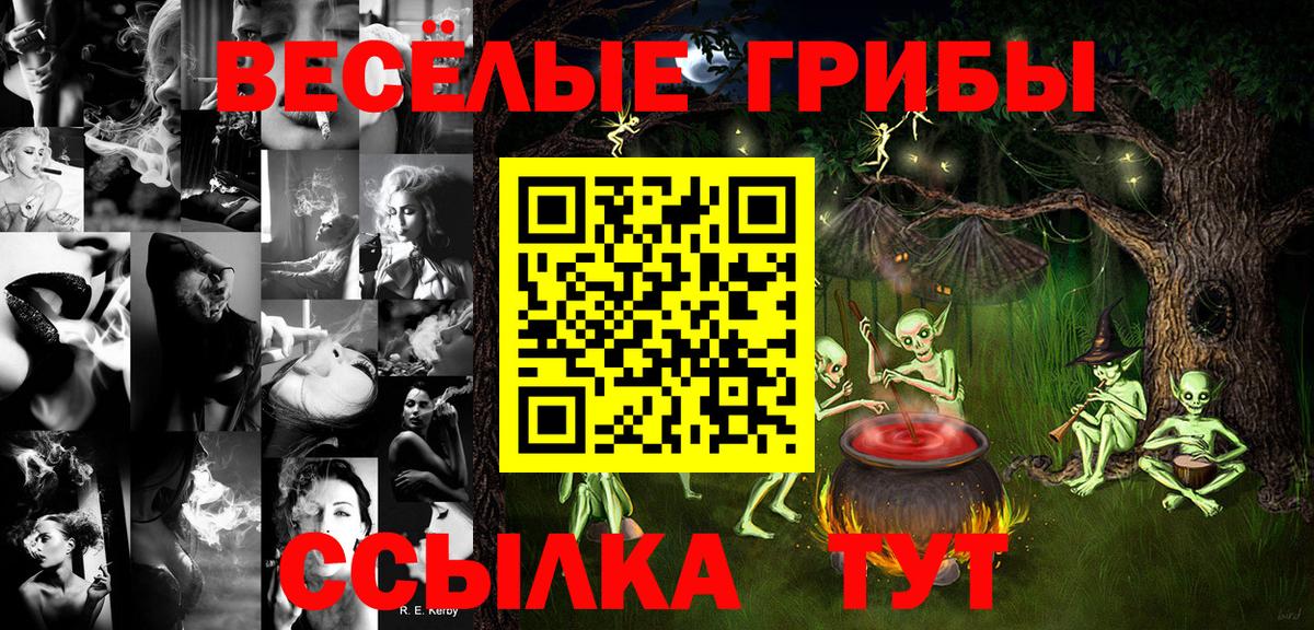 Лянтор  Галлюциногенные грибы Psilocybine cubensis  Вход с VPN 